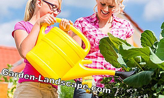 Make gardening and gardening fun for children - (gardening) Gardening raised bed