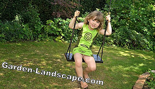 Make gardening and gardening fun for children - (little) Swing garden trees