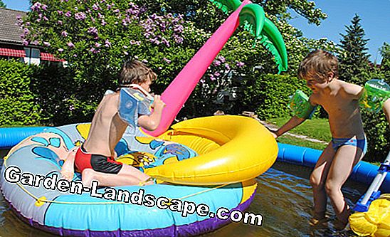 Make gardening and gardening fun for children - (gardening) Paddling pool garden