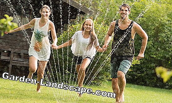 Make gardening and gardening fun for children - (make) Sprinkler system garden