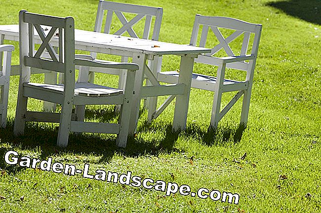 Jardin de style scandinave - Trucs et suggestions - scandinave Aménagement de jardin scandinave - Mobilier de jardin