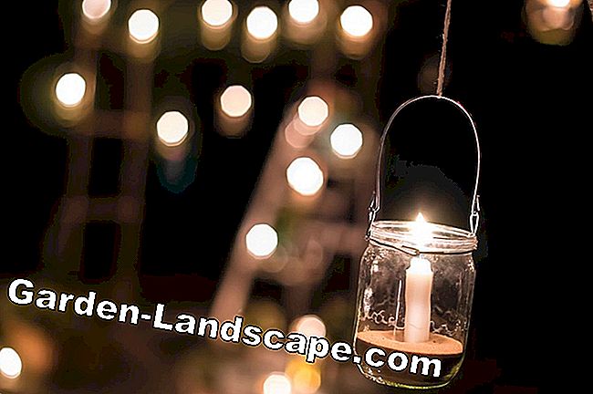 Jardin de style scandinave - Trucs et suggestions - style Mise en place d'un jardin scandinave - éclairage