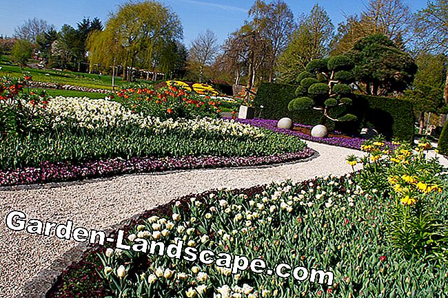 Chemins de jardins design: 22 exemples de création - jardins gravier