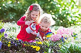 Make gardening and gardening fun for children - (make) Gardening children
