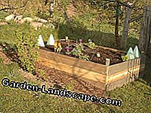 Build a raised bed yourself in 7 steps