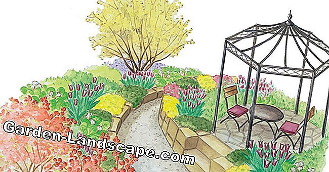 Voor herbeplanting: tuinpad schilderachtig geplant