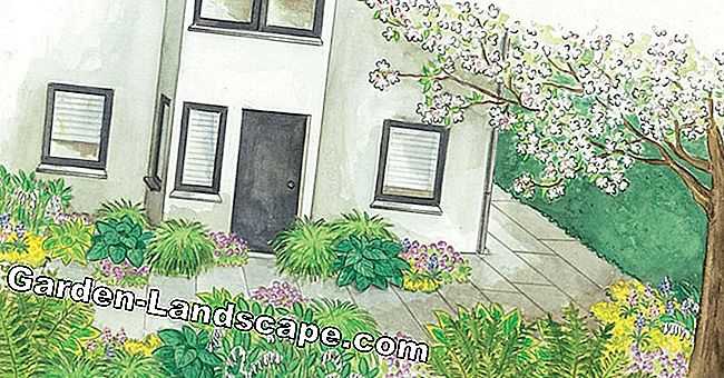 Voor herbeplanting: Schattenbeet tussen twee huizen