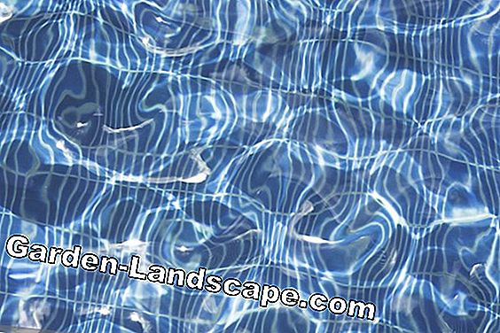 Pool Roofing - Prices & Models