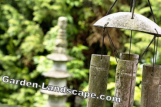 Wind chimes - what's for the garden?: garden