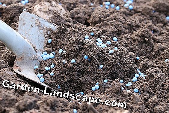 Blue Grain toepassen - Tips voor gebruik: blue