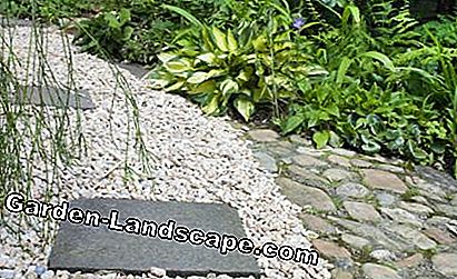 Dārza celiņa bruģis ar lauka akmeņiem un granti
