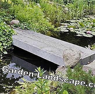 Bro för trädgårdsdamm av sten