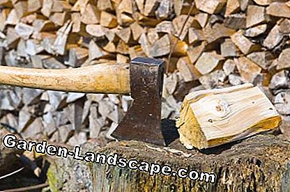 Firewood ax