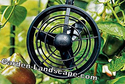 Ventilator za rastlinjak