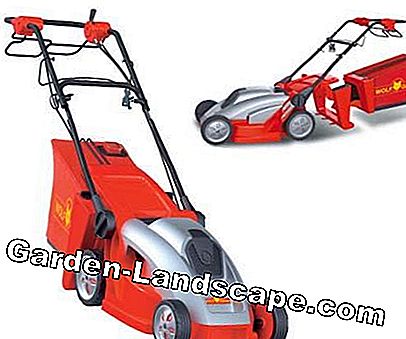 2009 Sezonunun yeni çim biçme makinesi modelleri: biçme
