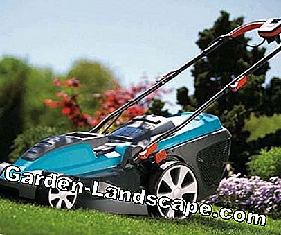 2009 Sezonunun yeni çim biçme makinesi modelleri: sezonunun