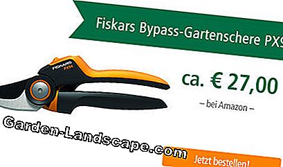 Testa Fiskars Secateurs PX94