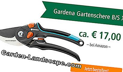Testa Gardena Secateurs B / S XL