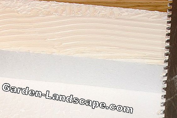 Enlever l'adhésif en polystyrène - Comment enlever les restes de mur et de plafond - enlever colle de mousse de polystyrène