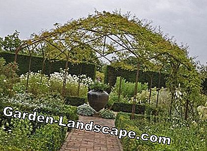 Sissinghurst, vườn trắng, vọng lâu