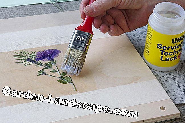 How to build a flower press: flower
