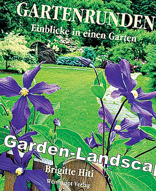 Ağustos sayısındaki kitap ipuçları - kitap Ağustos sayısındaki kitap ipuçları: Ağustos