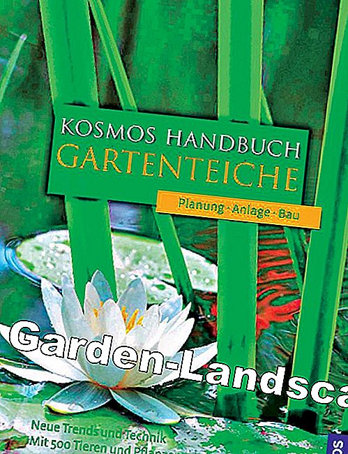 Ağustos sayısındaki kitap ipuçları - kitap Ağustos sayısındaki kitap ipuçları: ipuçları