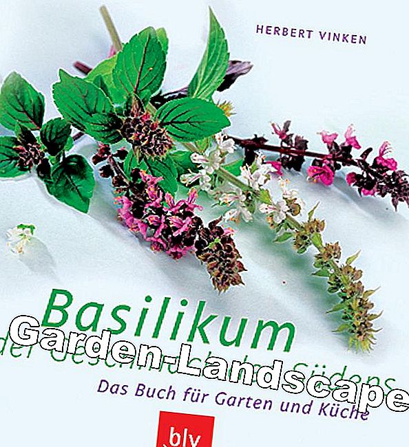 Ağustos sayısındaki kitap ipuçları - kitap Ağustos sayısındaki kitap ipuçları: için