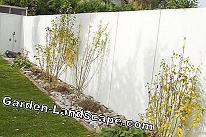 Muro di cemento in giardino
