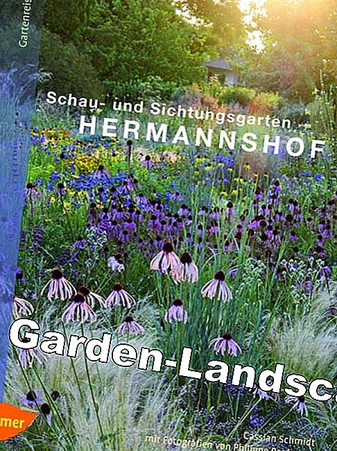 Other: Schau- Und Sichtungsgarten Hermannshof - My Beautiful Garden | 2023