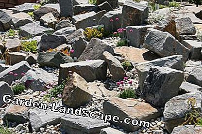 Giardino roccioso con massi