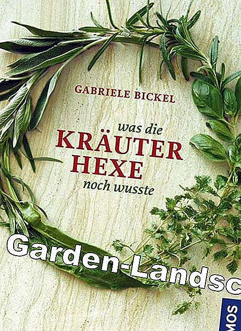 herbes herbes
