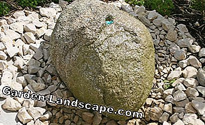 Ljevaonica kao izvorni kamen