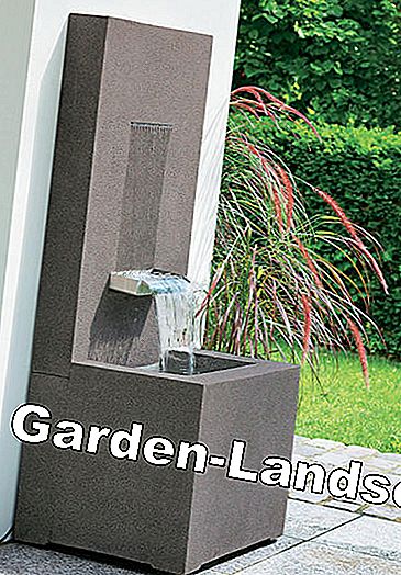 Small water features for the garden: water