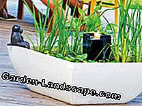 Small water features for the garden: small