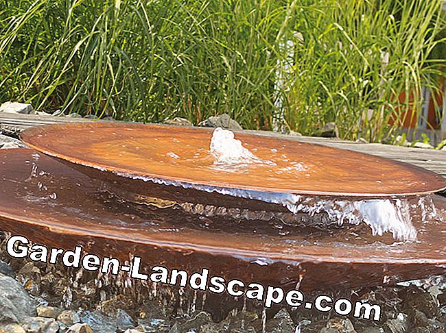 Small water features for the garden: features
