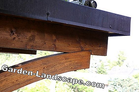 Carport - materiaalkeuze: hout of gelamineerd hout: carport