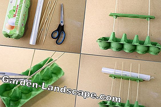Miniature Greenhouse - egg wrap DIY
