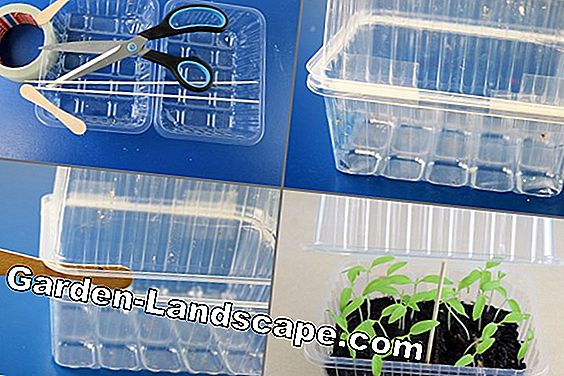Miniature greenhouse packing DIY