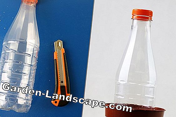 Miniature Greenhouse - PE Bottle DIY